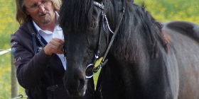 Trust-your-Horse Bodenarbeit - Die Grammatik des Reitens